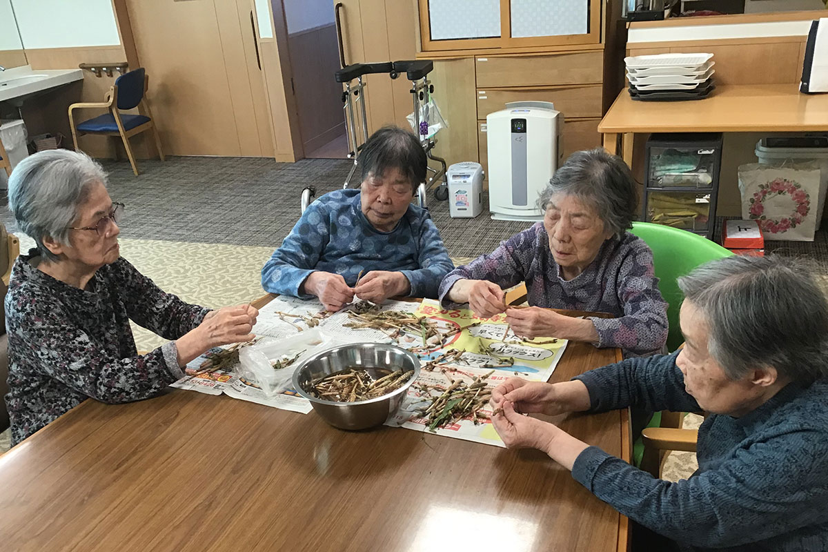 グループホームあおば　つくしのはかま取り